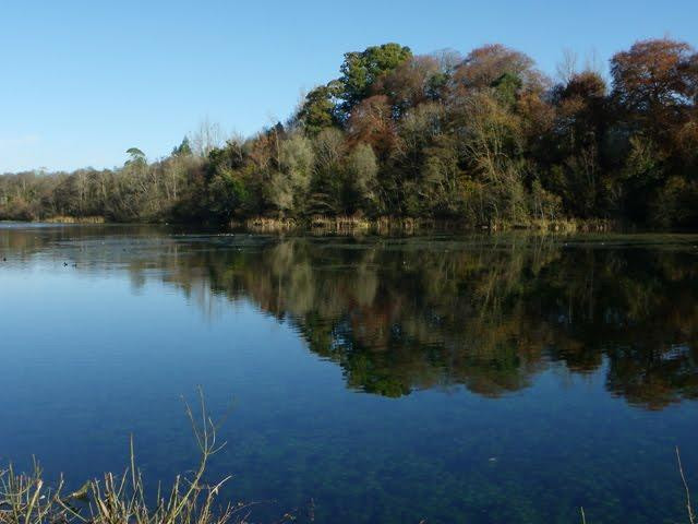 Marfield Lake景点图片