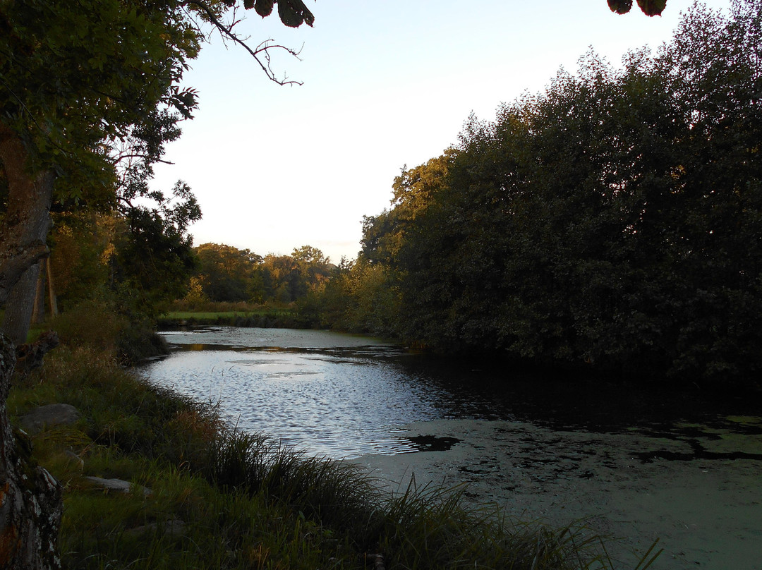 Anna's Bed & Breakfast Tarskov Molle Farmhouse主图