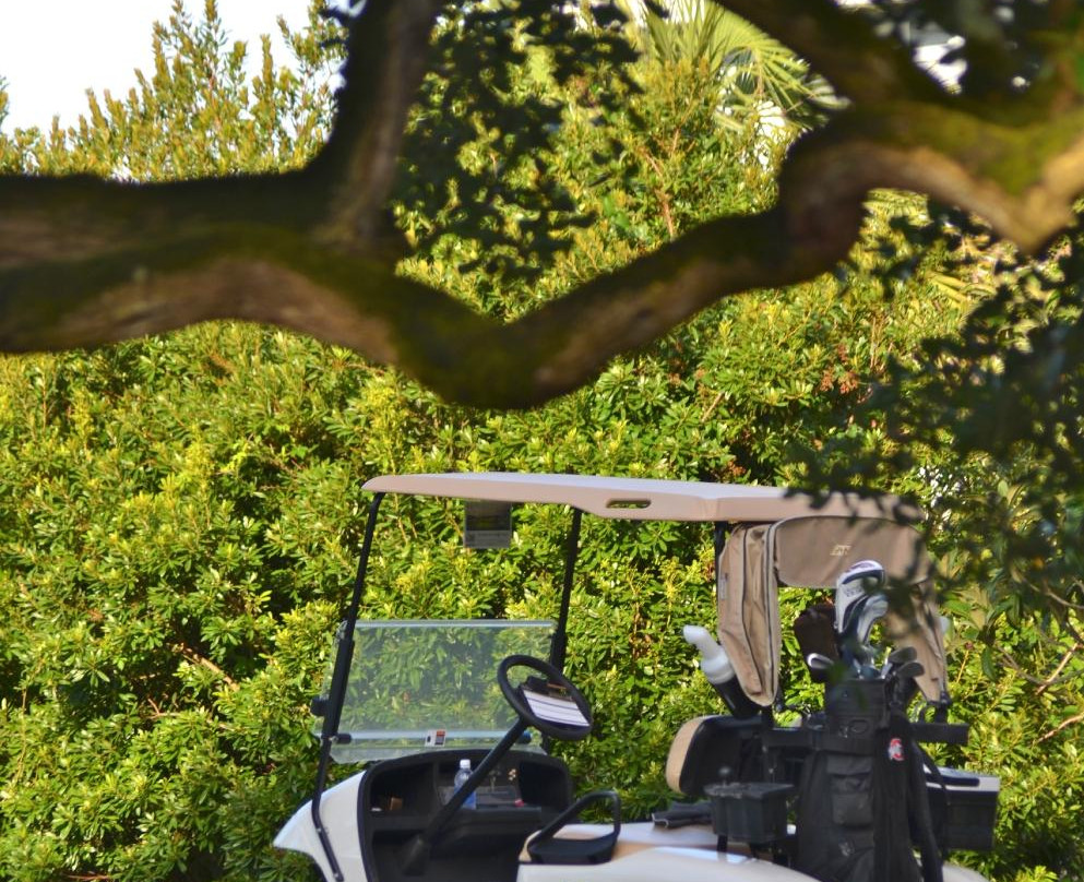 Wild Dunes Resort Golf-棕榈岛必去景点