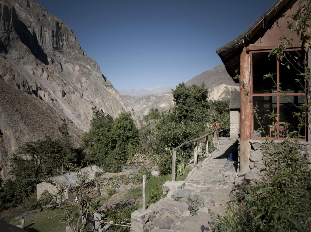 La Casa de Roy Colca