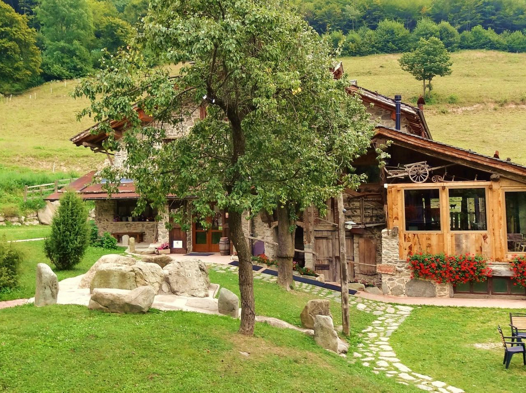 Agriturismo Agrifoglio