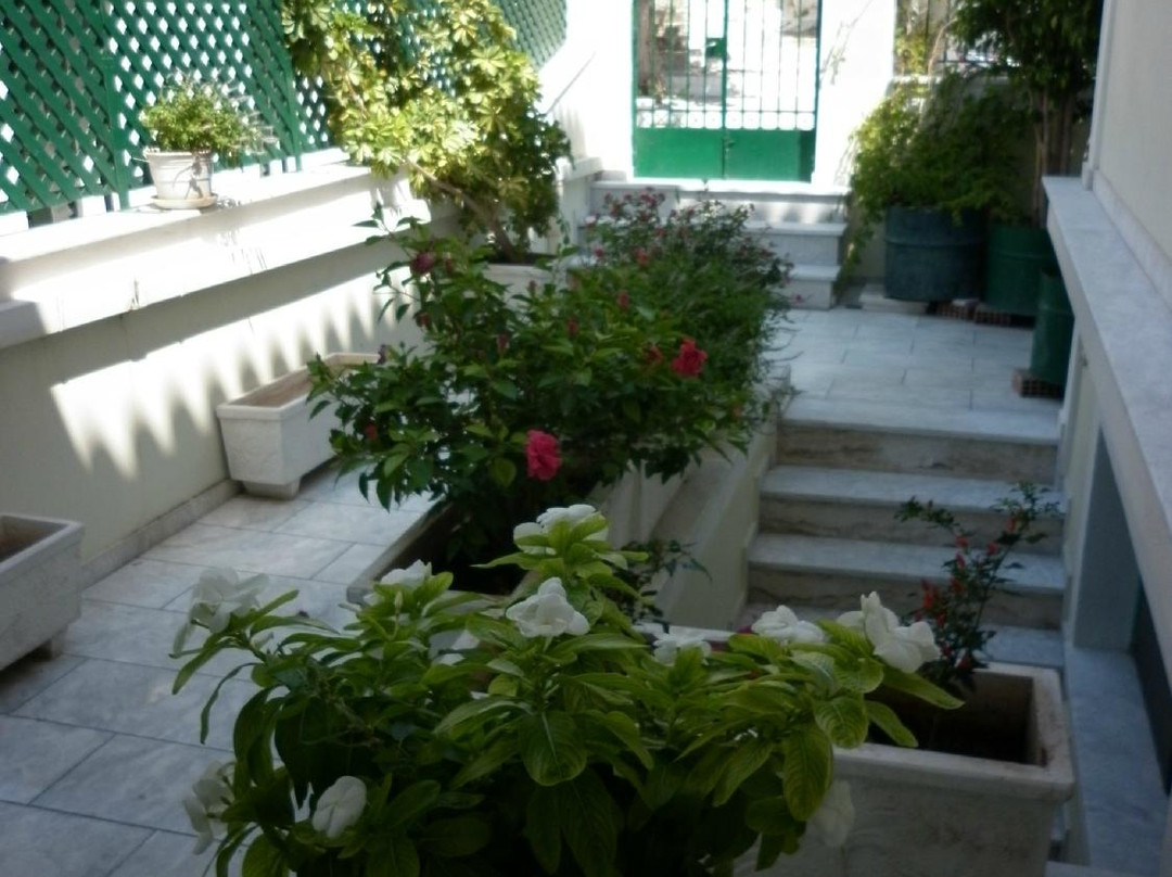 Xenon Afrodite主图