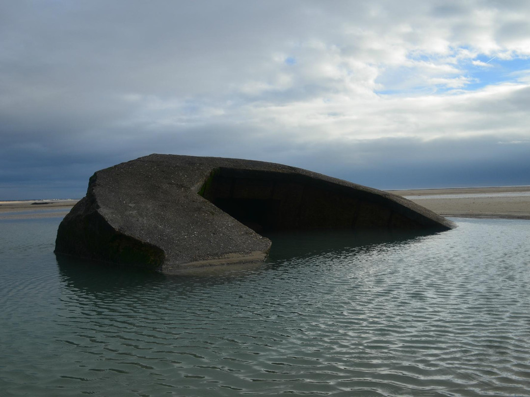 Normandy Insight - Tour景点图片