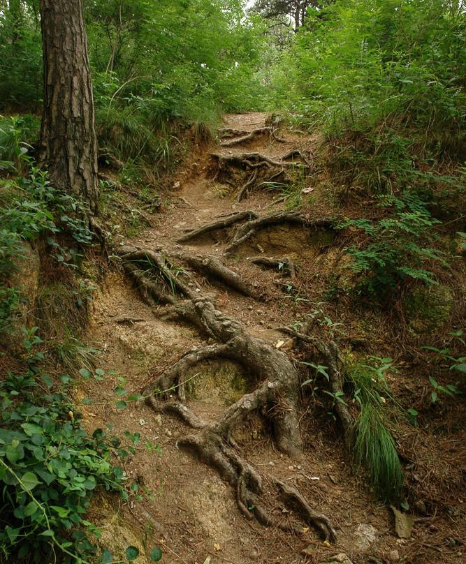 联峰山公园-秦皇岛市必去景点