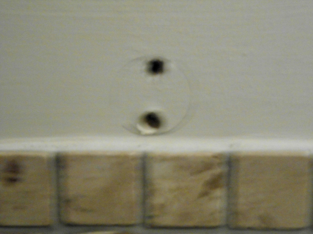 开普敦全景旅舍主图