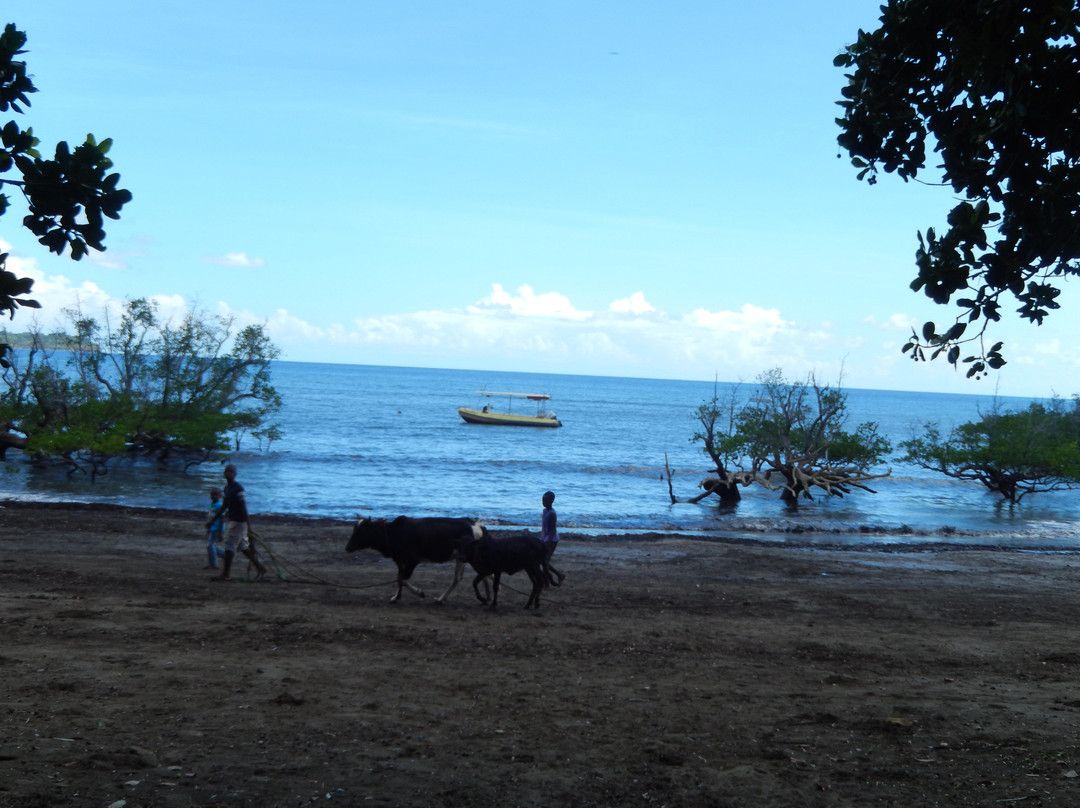 Abalone Plongée-Boueni必去景点