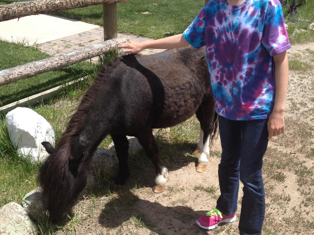 Mt Princeton Hot Springs Stables-Nathrop必去景点
