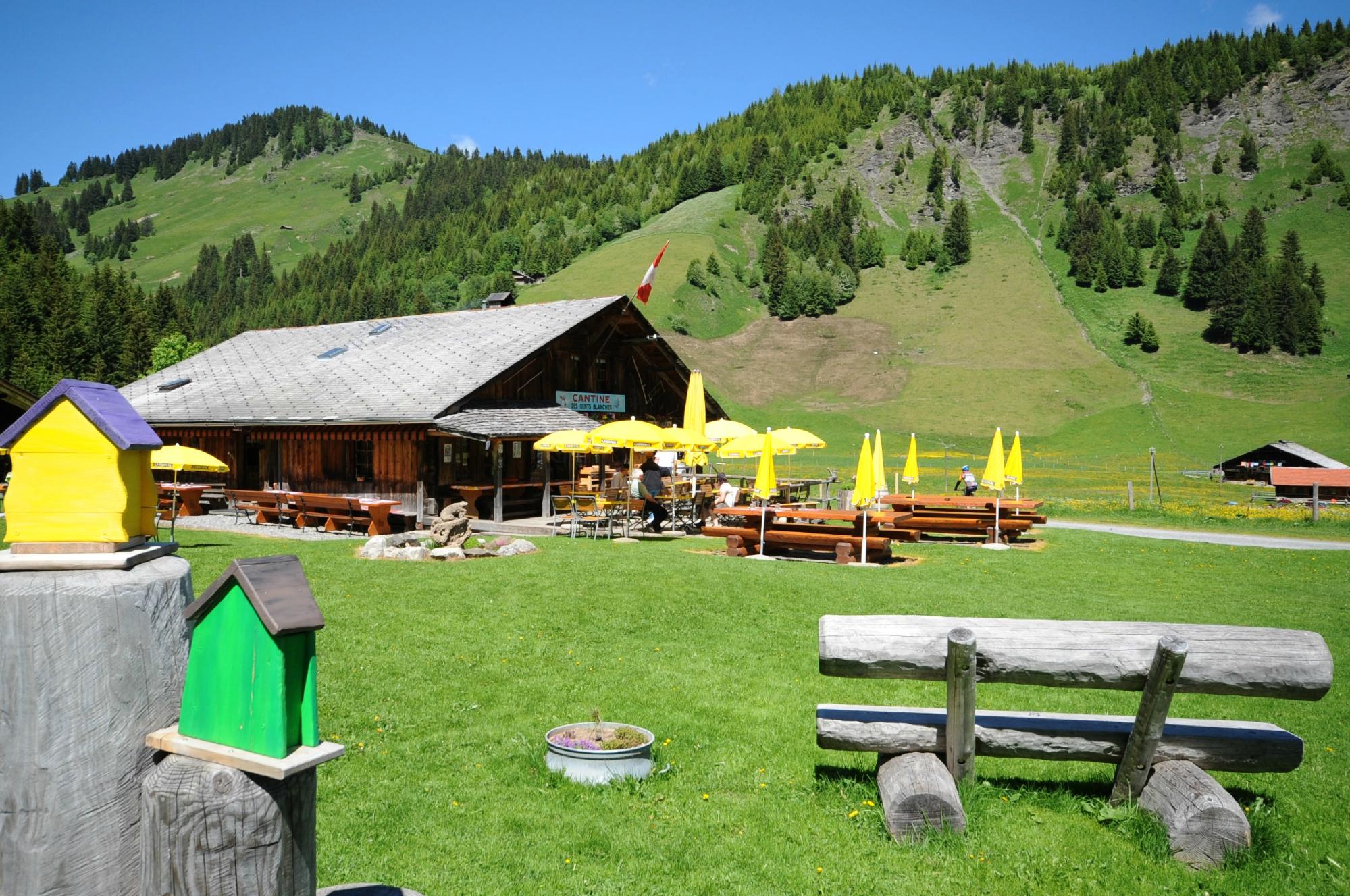 Cantine Des Dents Blanches-官方