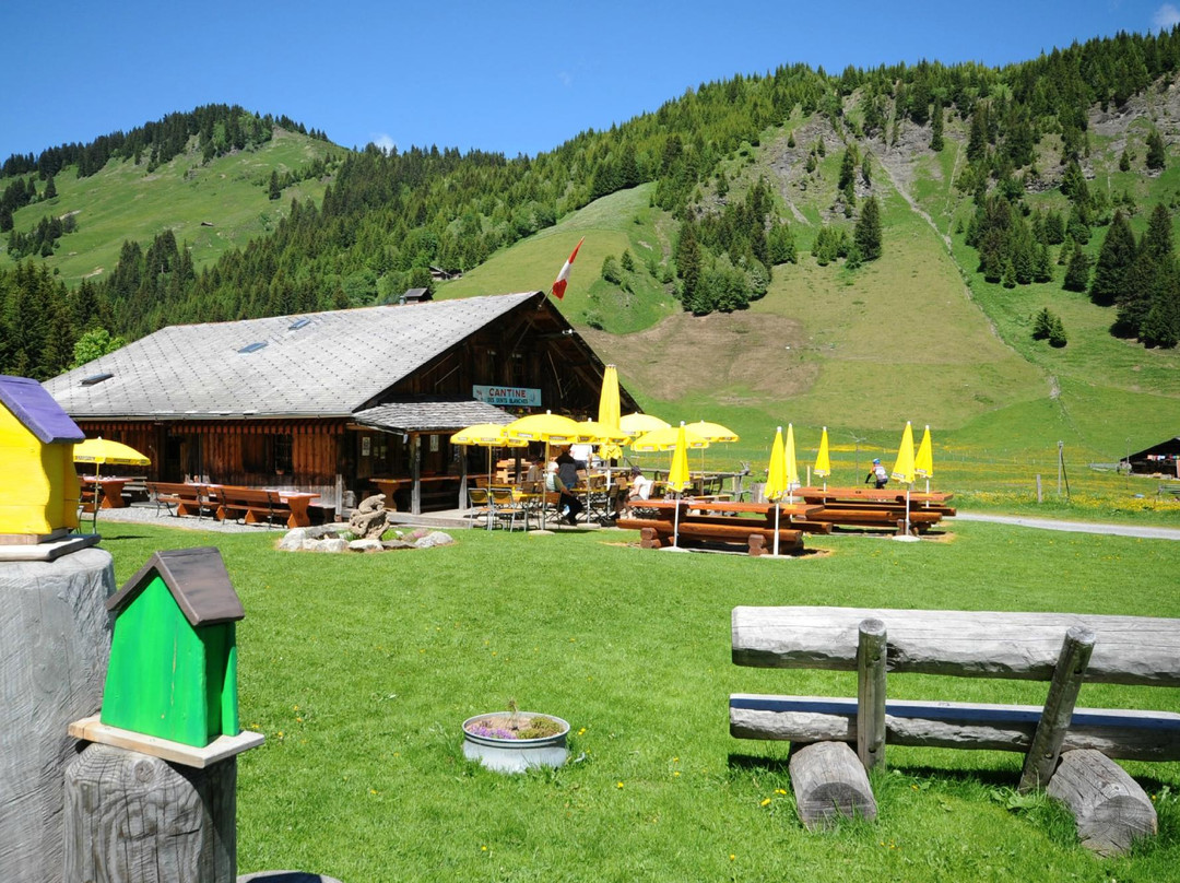 Cantine Des Dents Blanches主图