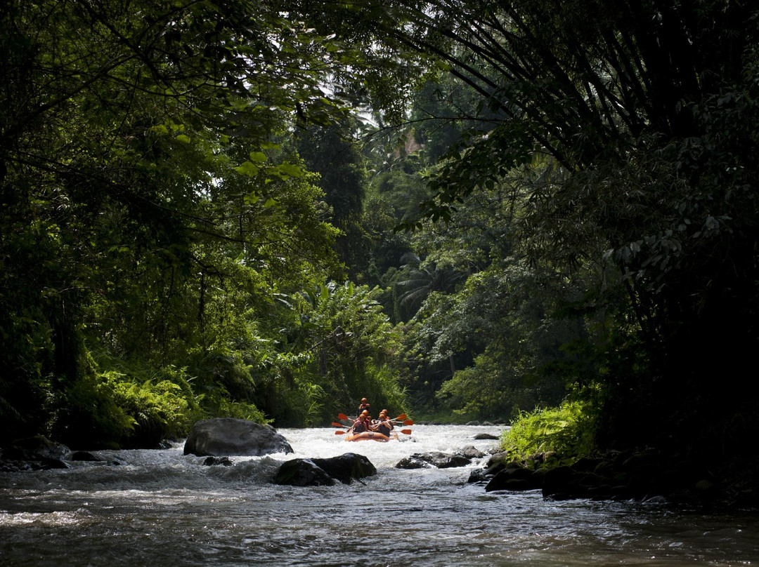 Toekad Rafting-Kedewatan必去景点