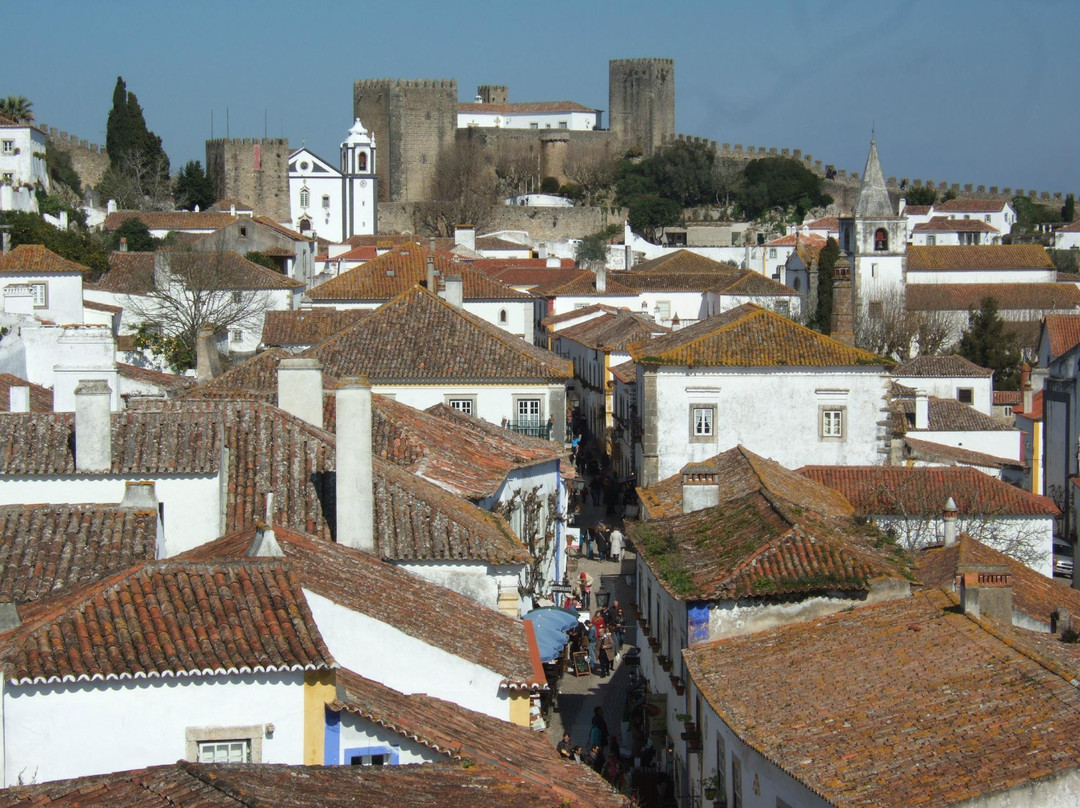 Reservas e Partidas-里斯本必去景点