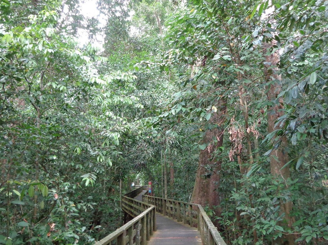 西必洛猿人保护区-西必洛必去景点