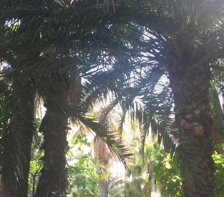 Balneario De Archena-阿尔切纳必去景点