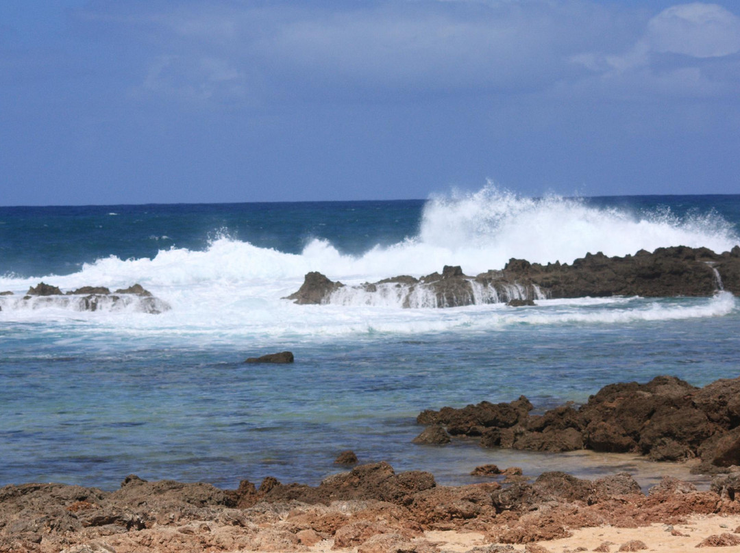 普普科亚海滨公园-哈雷瓦必去景点