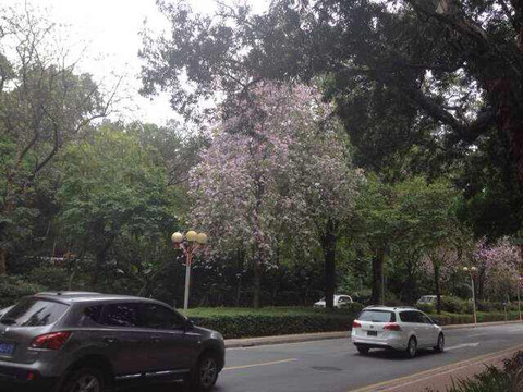 麓湖公园-广州市必去景点