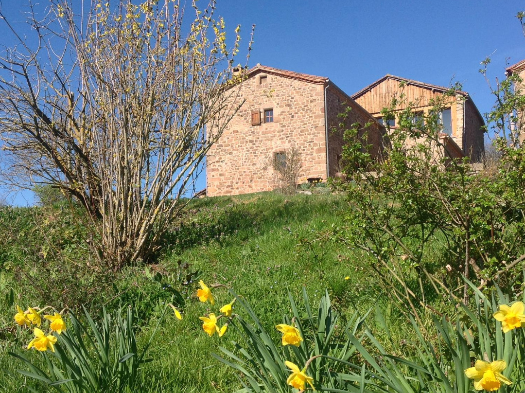 Ferme de Serene主图