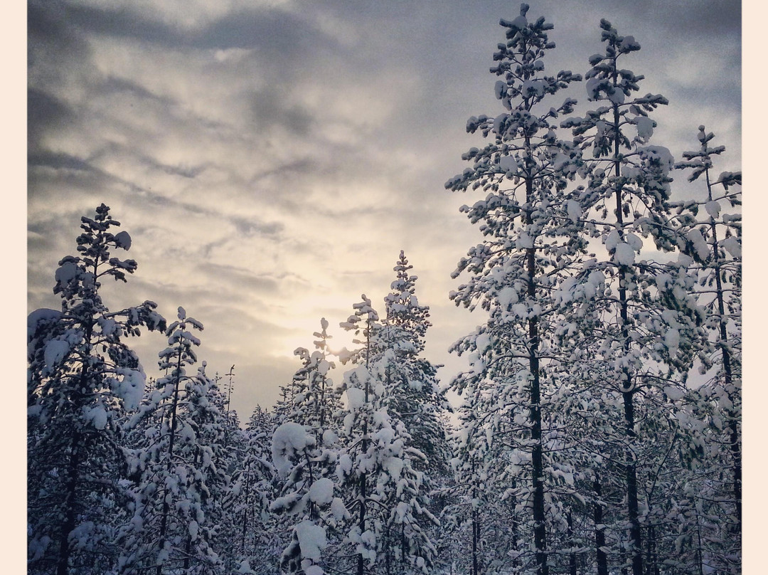 拉普兰探索之旅（罗瓦涅米）-罗瓦涅米必去景点