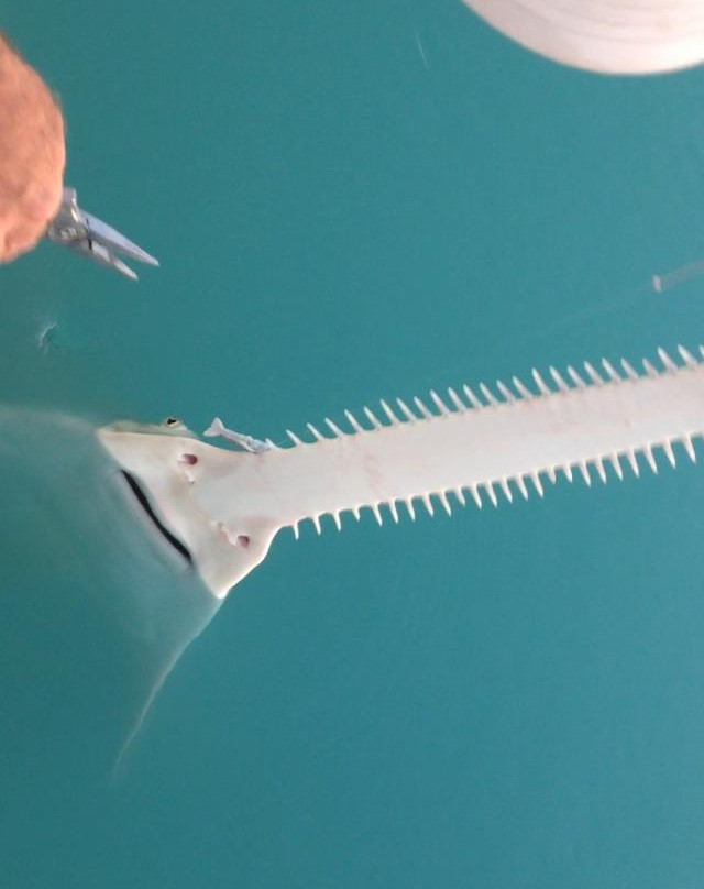 Captain Dave Perkins Fishing Charters-Tavernier必去景点