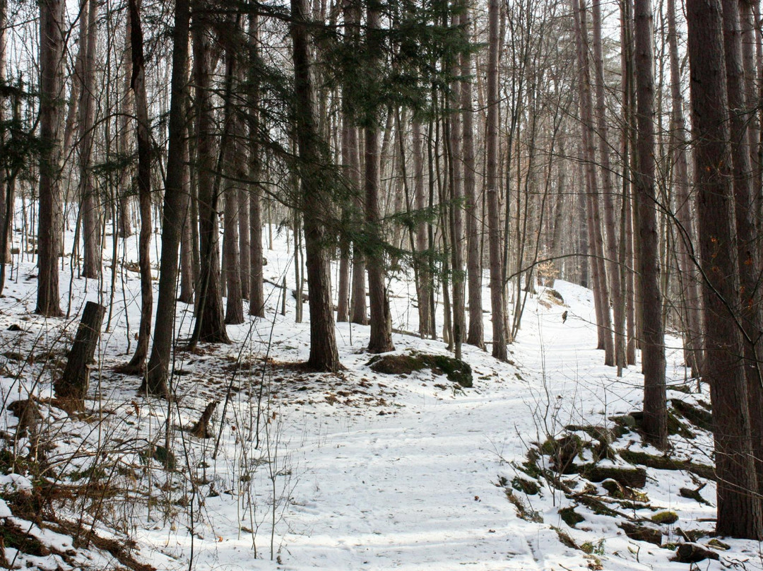 Hubbard Park-蒙彼利埃必去景点