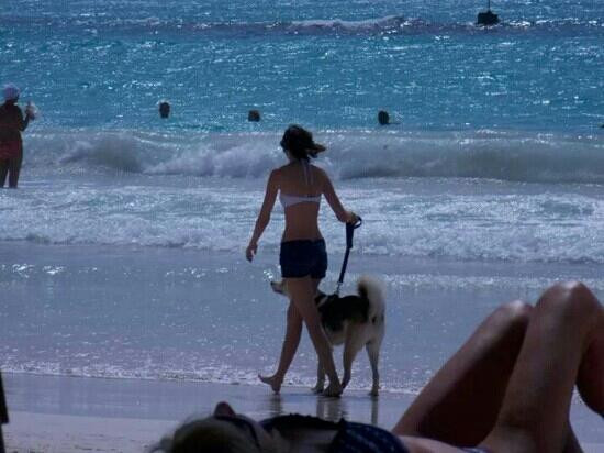 Rockley Beach-基督城必去景点