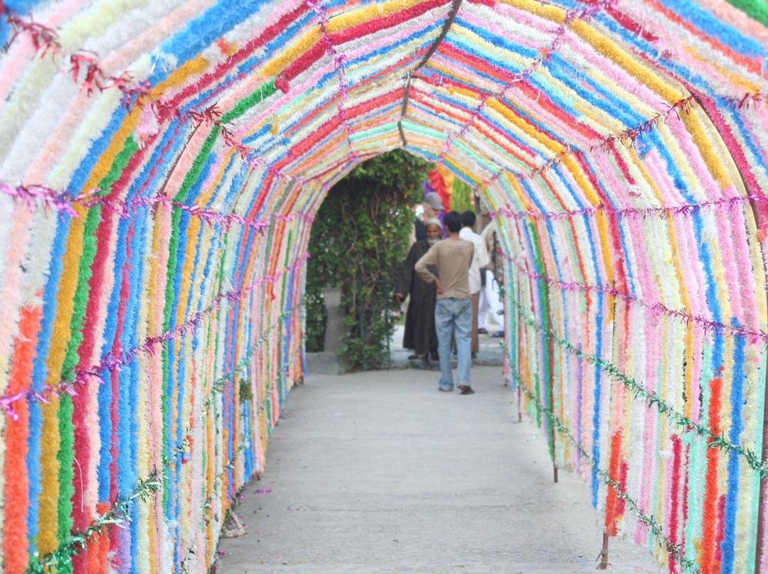 Mughal Holidays-阿格拉必去景点