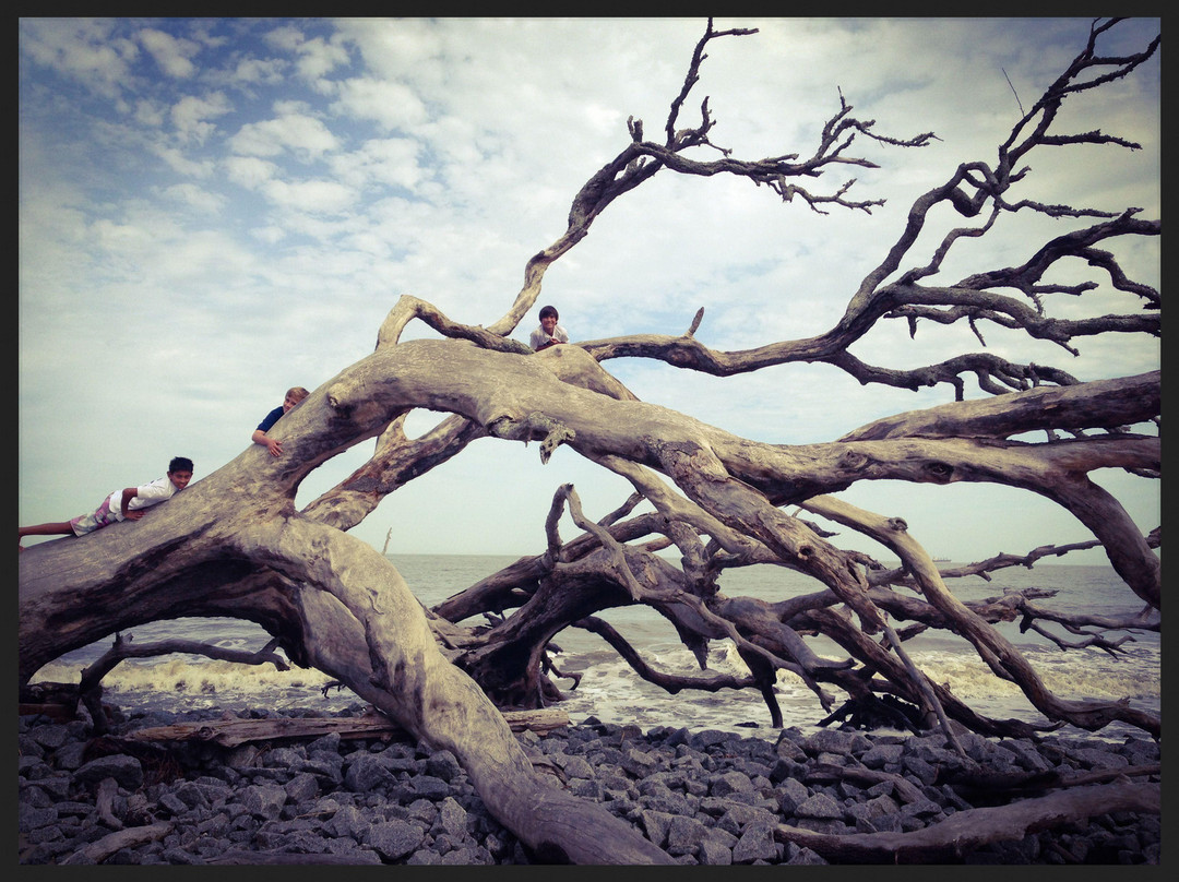 Driftwood Beach-吉柯岛必去景点