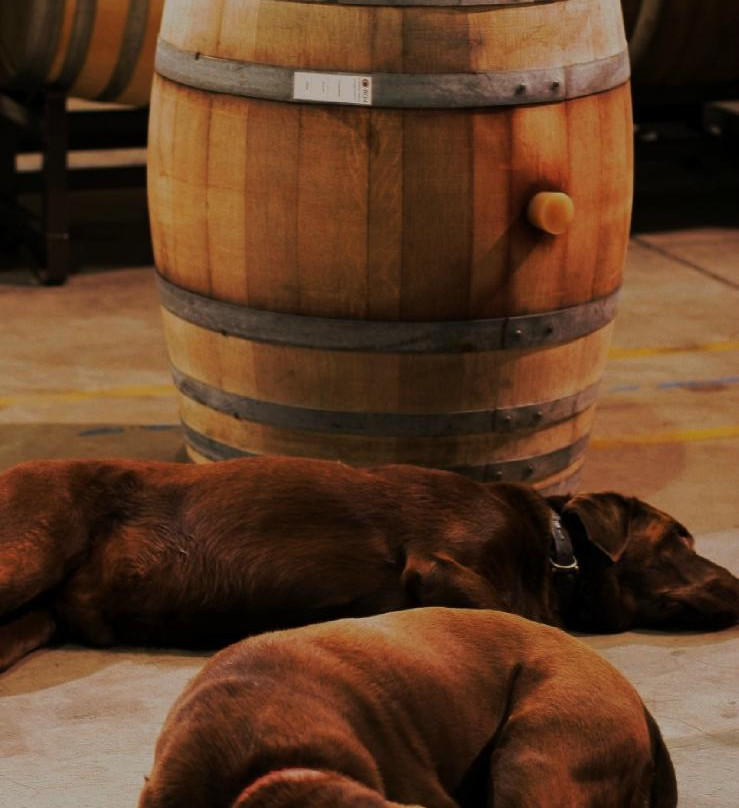 Ampelos Cellars-隆波克必去景点