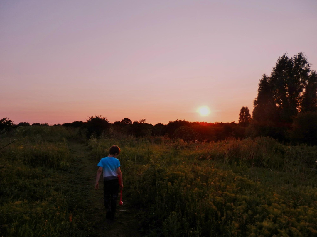 Whetmead Nature Reserve景点图片