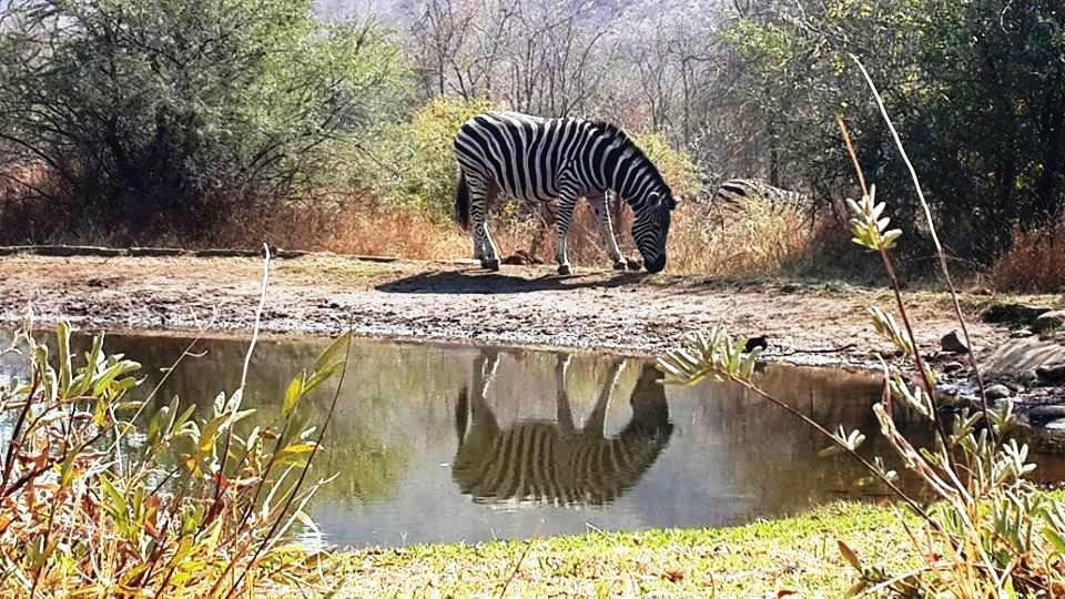 Flight of the Eagle Safaris & Tours-三图里恩必去景点