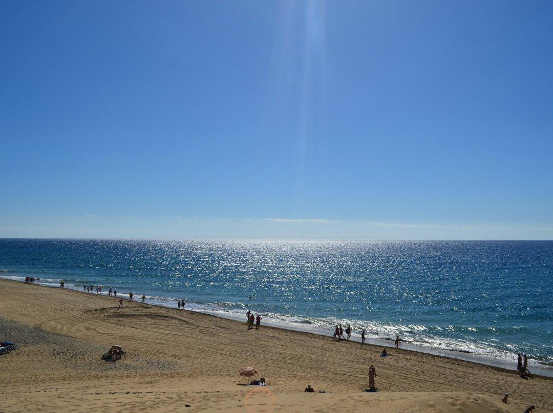Reserva Natural Especial de Las Dunas de Maspalomas景点图片