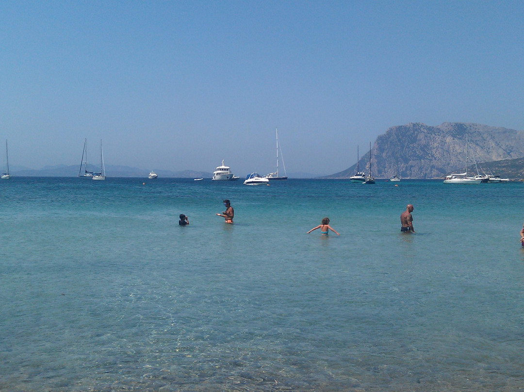 Spiaggia Capo Coda Cavallo-San Teodoro必去景点