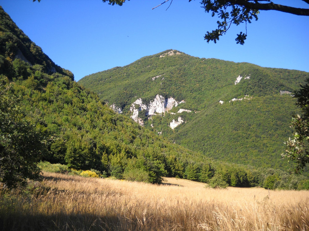 Gole del Fiastrone景点图片