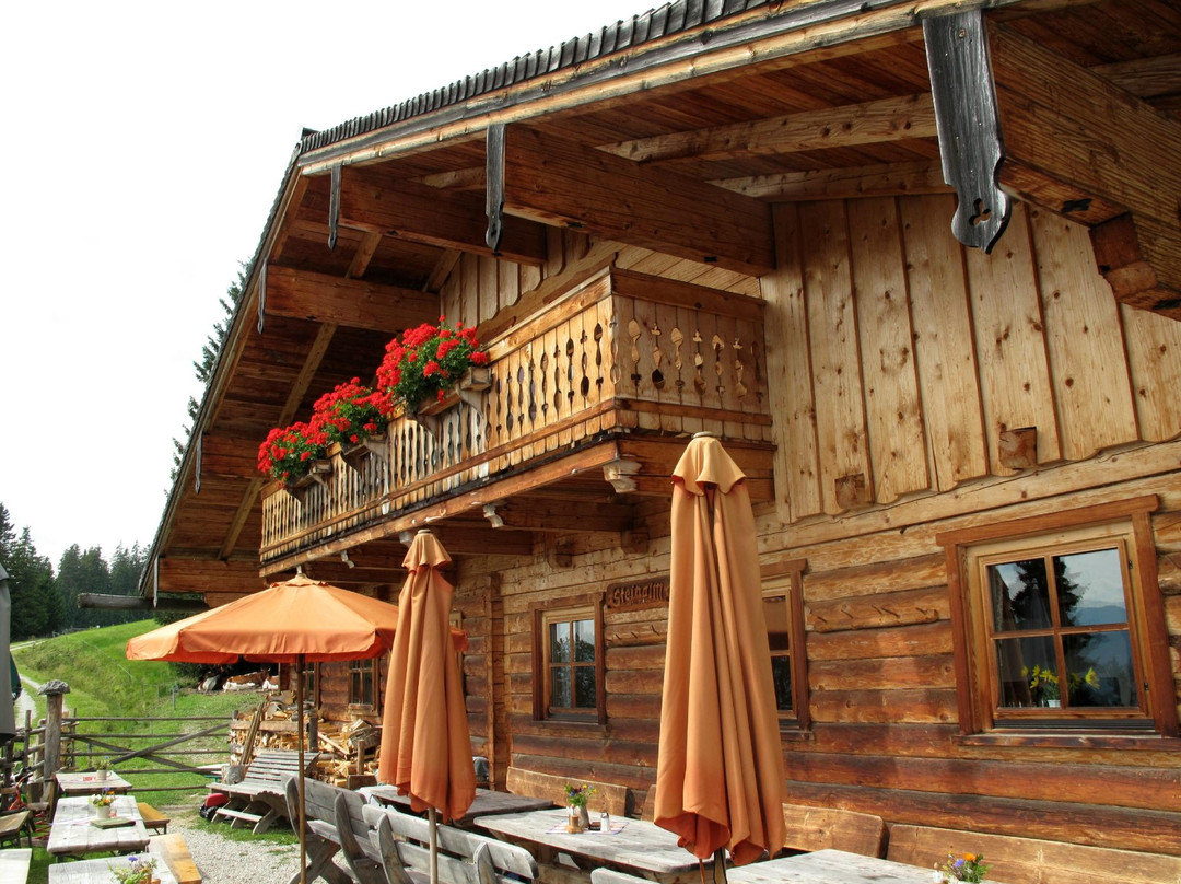 Mandling餐馆和美食-Steinalm