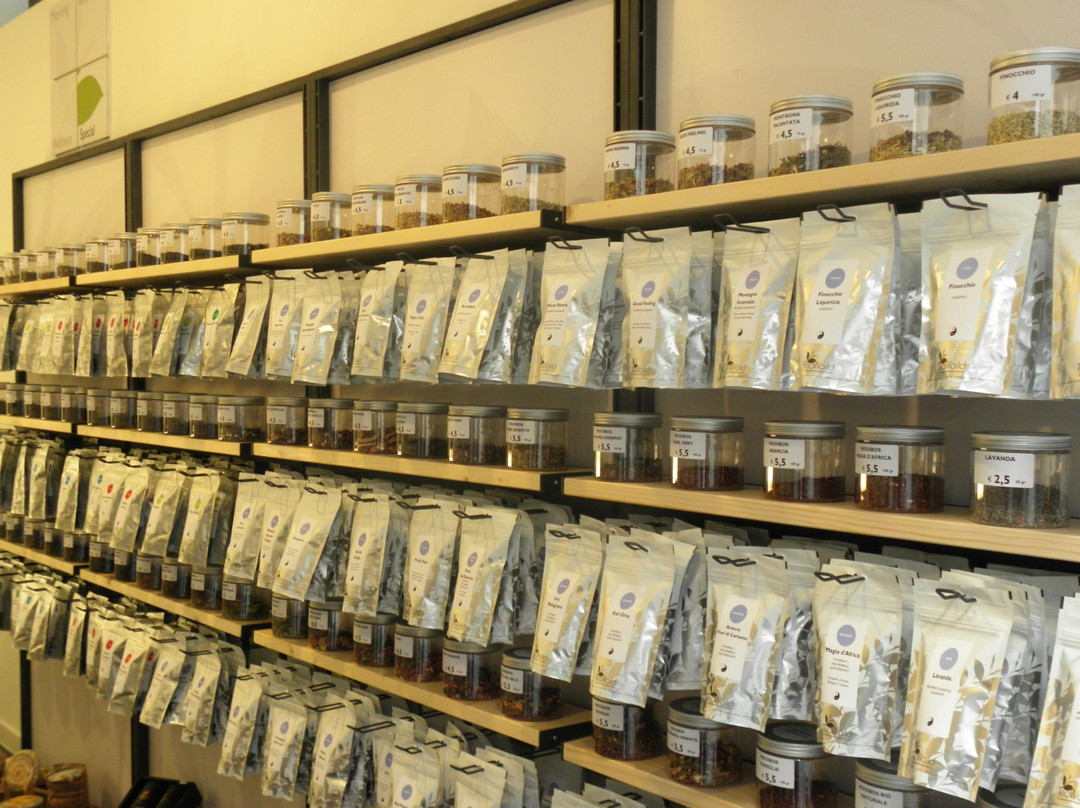 Tea World-科莫必去景点
