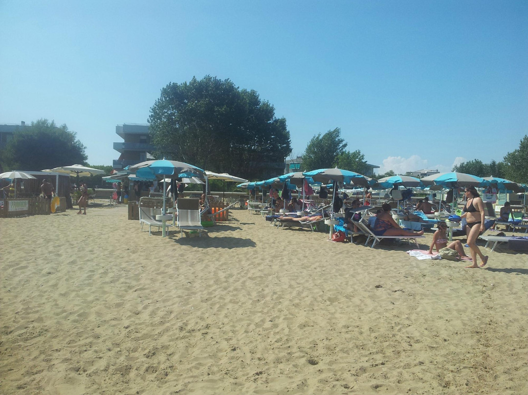 Doggy Beach景点图片
