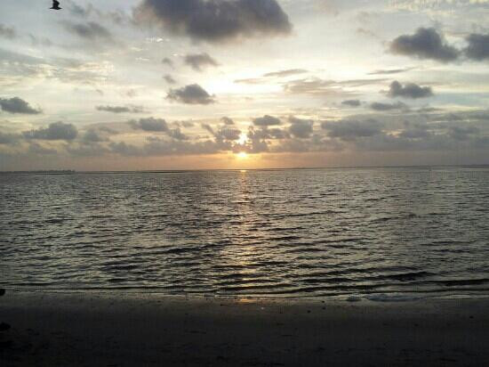 Emerson Point Preserve-Palmetto必去景点