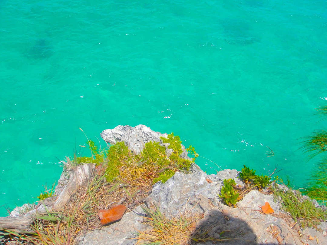 Admiralty House Park-汉密尔顿必去景点