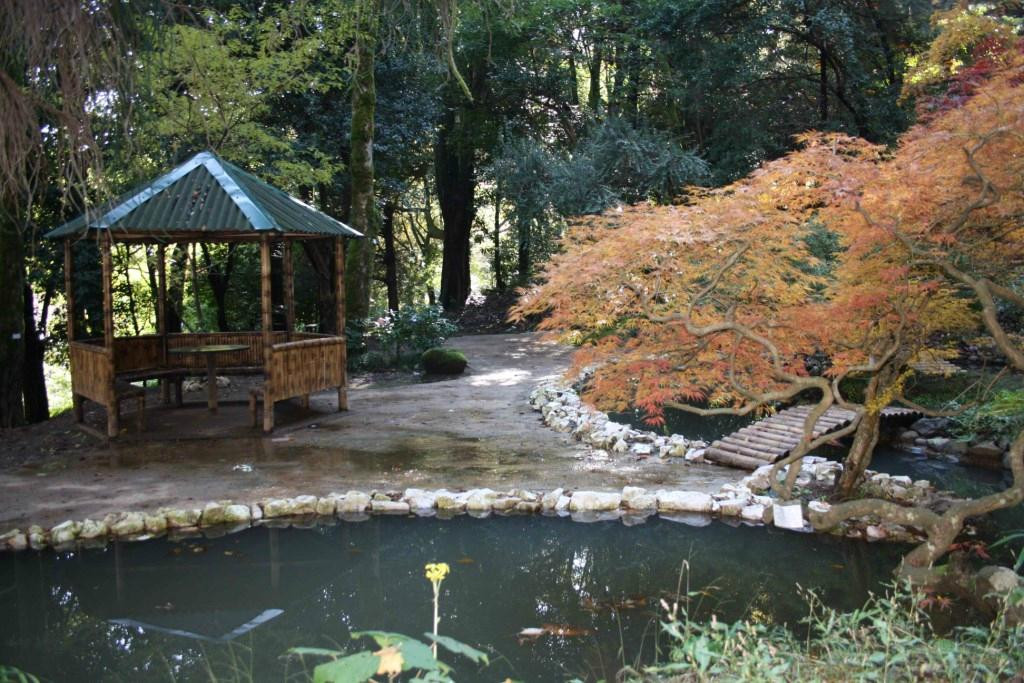 Batumi Botanical Gardens-巴统必去景点