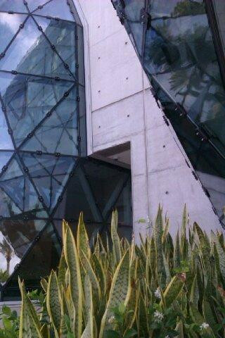 达利博物馆-圣彼德斯堡必去景点