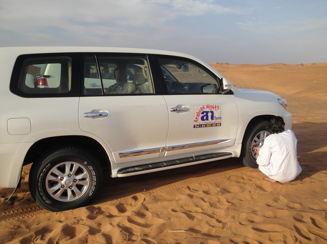Arabian Nights Tours LLC景点图片