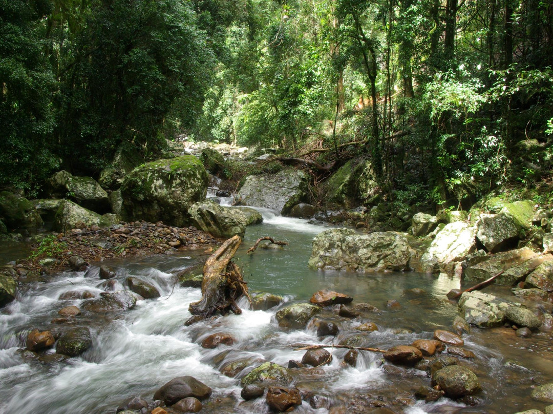 Bushwacker Ecotours-布里斯班必去景点