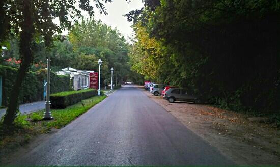 Palic Lake景点图片
