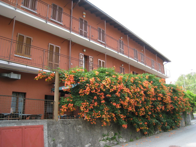 Hostaria Da Edo