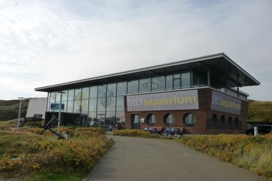 Sylt Aquarium景点图片