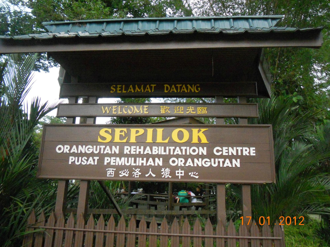 All Borneo Connection - Day Tours-亚庇必去景点