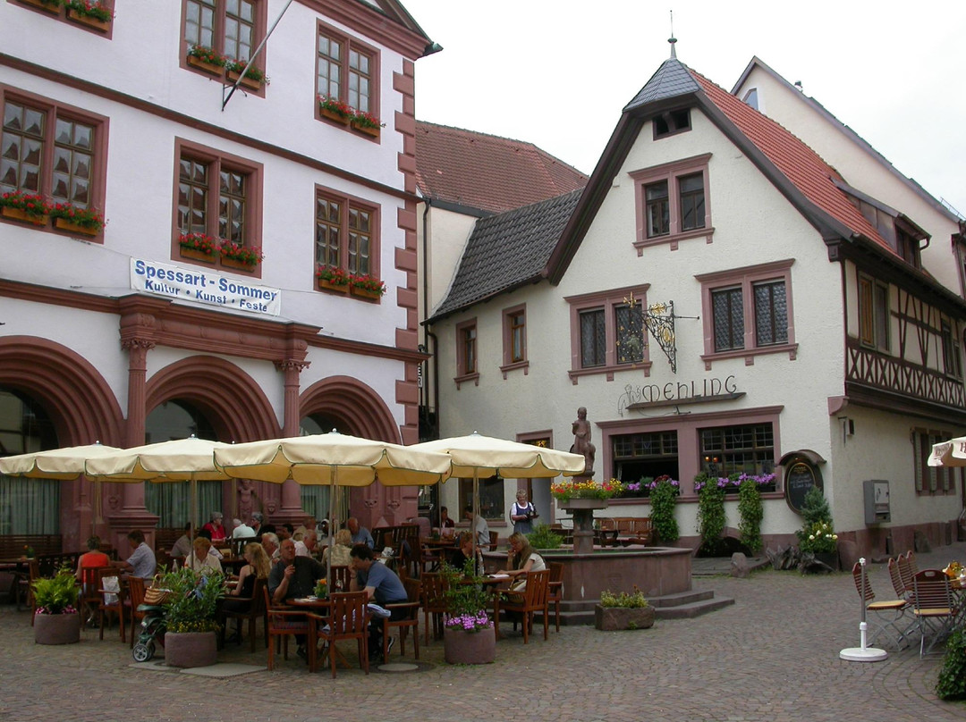 Neustadt am Main旅游攻略图片