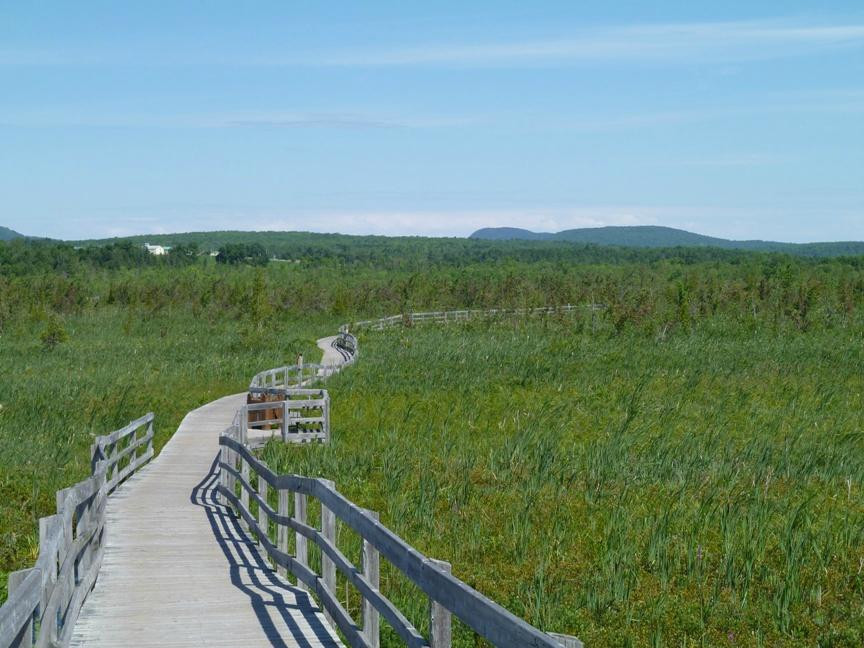 Marais de la Riviere aux Cerises-梅戈格必去景点