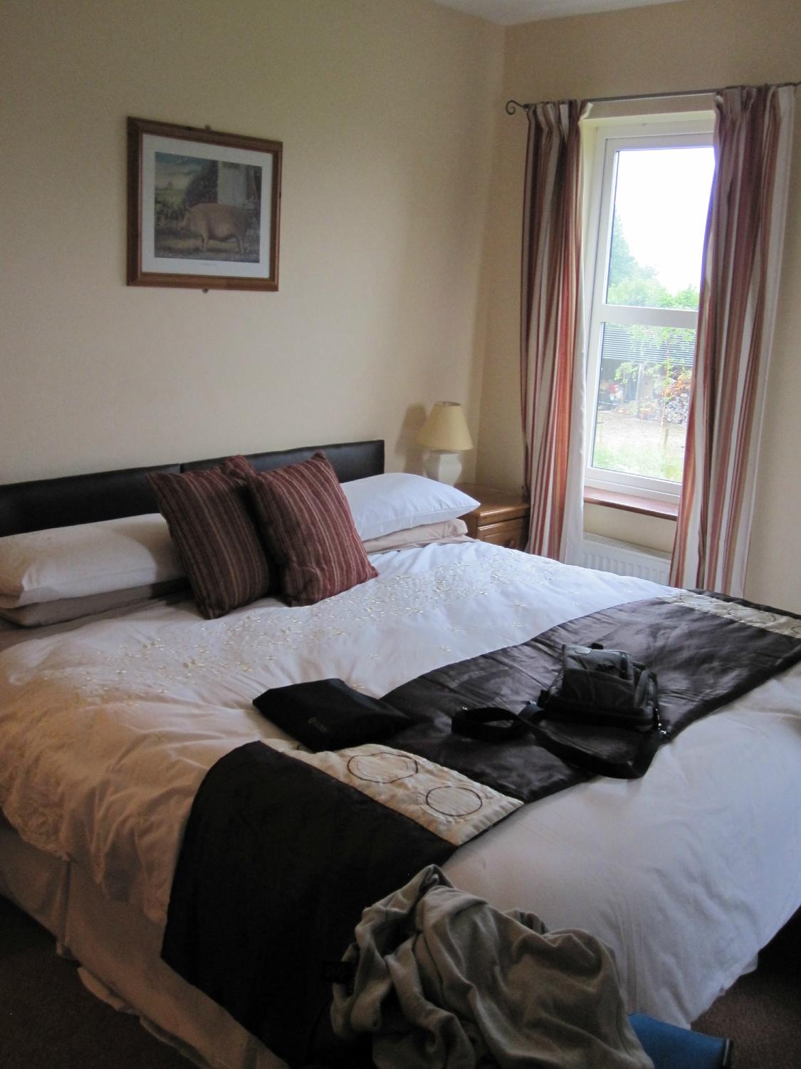 Ashfield Bed & Breakfast-客卧