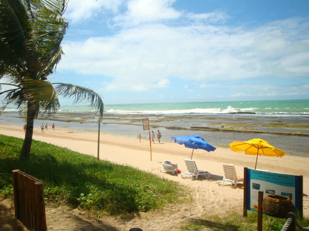Muro Alto Beach-嘎林海斯港必去景点