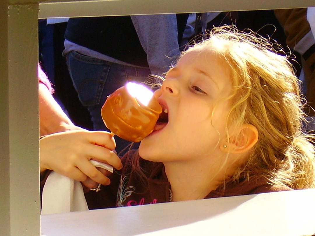 Jackson's Orchard & Nursery-鲍灵格林必去景点